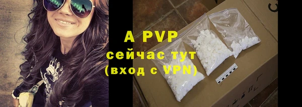 спайс Баксан