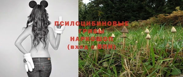 спайс Баксан