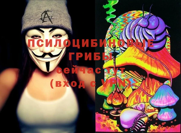 прущие крисы Балахна